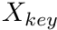 $ X_{key} $