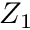 $ Z_1 $